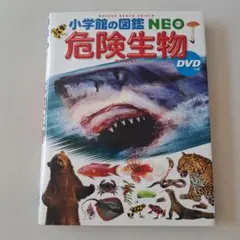 ゆゆゆ様 リクエスト 2点 まとめ商品
