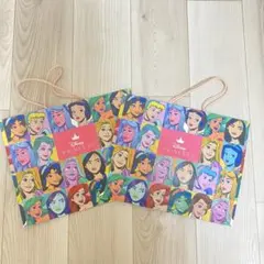 ディズニープリンセス紙袋 2枚セット