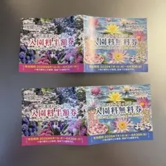 아시카가 플라워 파크 할인 티켓 (무료 티켓 포함) 4장 세트