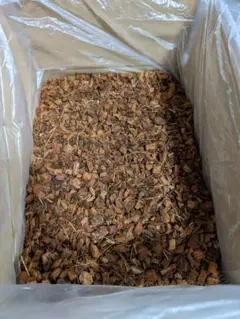 Item thumbnail for item 240db913-e0f6-448f-a58c-8f397dbe14b4