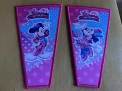 ミニー　ミッキー　ワッペン　パルパルーザ　ファンダーランド