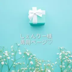 しぇんりー様専用ページ♡1セット+1枚