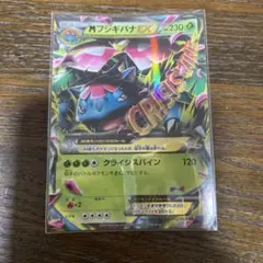 フシギバナEX SR XY 拡張パック「コレクションX」 キラ 061/060 フシギバナEX SR XY 拡張パック「コレクションX」 キラ 061/060 - メルカリ