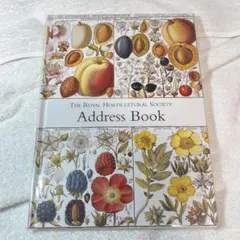 Item thumbnail for item a359a556-3cf7-4501-b1be-778754a4a079