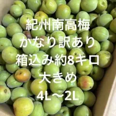 4Lサイズ 和歌山県産 紀州南高梅 色付き 箱込み5キロ 青梅 - メルカリ