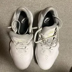 ASICS NOVA SURGE LOW2バスケシューズアイボリー/チリフレーク - メルカリ