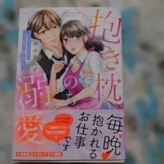 抱き枕、のち、溺愛。～イケメンCEOとベッドの中で一線を越えて～
