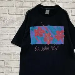 USA製90sヴィンテージTシャツ！シングルステッチ　ブラック半袖古着XL 22