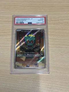 PSA10 マーシャドー AR