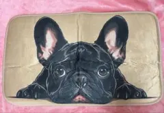 Item thumbnail for item 83187e71-5e85-4973-840c-2968e7e11858