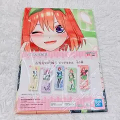 Item thumbnail for item 1d8a7493-8482-4b81-8648-52ecccddaadb