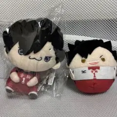 ハイキュー 黒尾鉄朗　もちぴこ　 ふわコロりん　2個セット