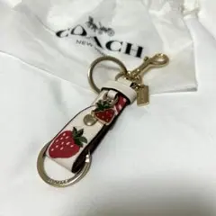 2025年最新】coach いちご バッグの人気アイテム - メルカリ