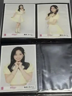 AKB48 【好きish 生写真】第4弾 奥本カイリ