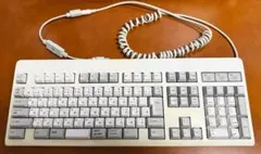 C*h様 東プレ FD0100 日本語配列 キーボードのサムネイル