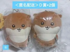 ちいかわ ナガノのカワウソ くじ Ｄ賞 2個 水族館 限定 ぬいぐるみ 完売商品