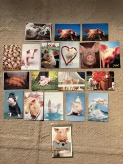 ブタさんのポストカードセット 19枚 メッセージカード1枚 セット売り