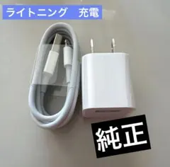  iPhone 有線イヤホン 純正 変換アダプタライトニングイヤフォンアップル