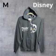 Disney ディズニー hanes ヘインズ パーカー 裏起毛 ミッキーマウス