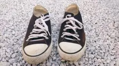 Item thumbnail for item ec17fa8c-d1ee-4360-a0e3-216fc50c6429