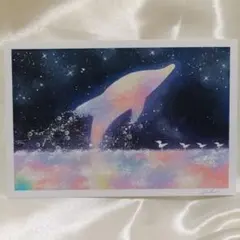 イルカとカルガモ親子 星空の風景画 オイルパステル画 原画　はがきサイズ#201