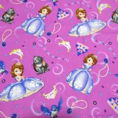 Item thumbnail for item 9c1d8701-b4ab-49db-8782-927db60e5779