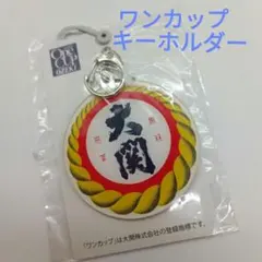 即購入OK❣ワンカップ大関　キーホルダー　新品未使用