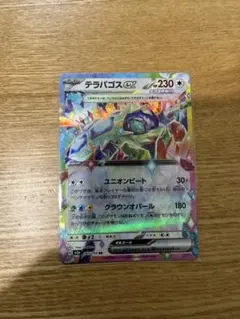 ポケカ　テラパゴスex　RR