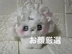 ちむむ。 ふにゅ ぬいぐるみ フェイスポーチ カードホルダー ちむむ。 ふにゅ ぬいぐるみ フェイスポーチ カードホルダー - メルカリ