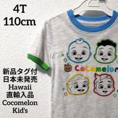 Item thumbnail for item 6d16798a-8627-4114-986f-6716d88b7152