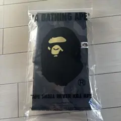 Item thumbnail for item 27923023-0a94-4568-bf7f-4ce004be1496