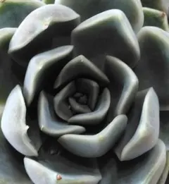 hiro様 リクエスト 3点 まとめ商品