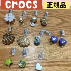 CROCS チャーム 公式ジビッツ　アクセサリー12個セット 正規品　まとめ売り