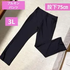 プルオンパンツ　 3L 股下75 黒　　きれいめ　ビジネス　ファッション