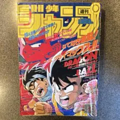 希少 週刊少年ジャンプ1993年44号 DRAGON BALL 表紙 - メルカリ
