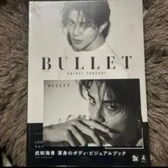 【未開封】武知海青『BULLET』 ポストカード付き