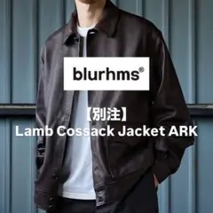 2026年最新】blurhms メンズ レザージャケット・ライダースの人気