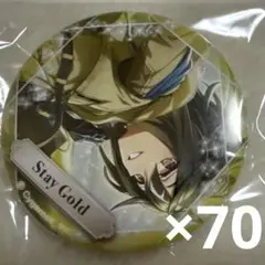 ウマ娘 ステイゴールド canバッジ 缶バッジ 11点 - メルカリ