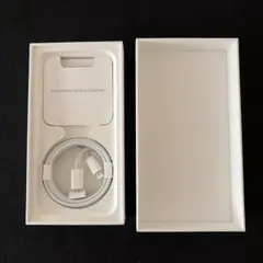 iPhone SE (第2世代)ブラック Lightningケーブル　空箱のみ