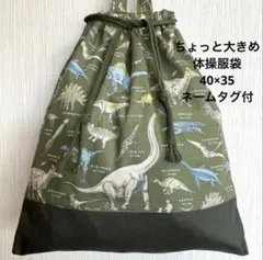 恐竜図鑑 カーキ 40×35 体操服袋 巾着 男子 高学年 冬服 大きめ