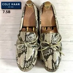 美品■コールハーン■ドライビングシューズ✨パイソン 型押し ゴンミーニ