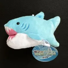 カジっとマスコット サメシャーク2 ぬいぐるみ