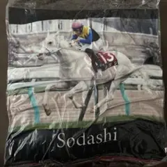ソダシ 競走馬デザイン 赤 13