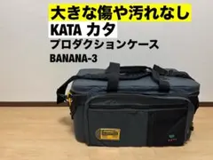 Item thumbnail for item 830d09c9-1482-41a0-b4d9-6a581ff0dca3