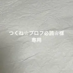 つくね ❀プロフ必読❀様 リクエスト 2点 まとめ商品