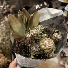 Item thumbnail for item 20d40459-33fb-421c-bbc0-5f2e5bddb91d