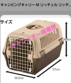 Item thumbnail for item 46ec959a-1f47-4062-9264-b1333635e624