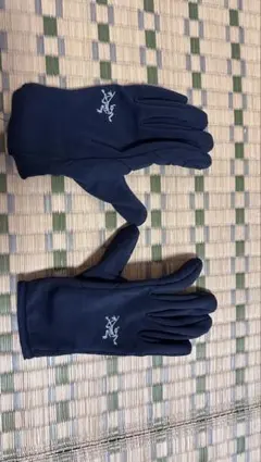 アークテリクス　ZENTA LT ゴアテックス グローブ　レディースS アークテリクス ZENTA LT ゴアテックス グローブ レディースS 2025年