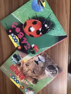 Item thumbnail for item 6d56b14a-aca7-4e6e-a717-4be24e6f3467