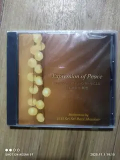 日本語ガイダンス瞑想CD Expression of Peace